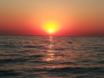 IMG_20200901_184440_resize_91.jpg