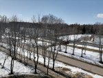 IMG_20210328_120749.jpg